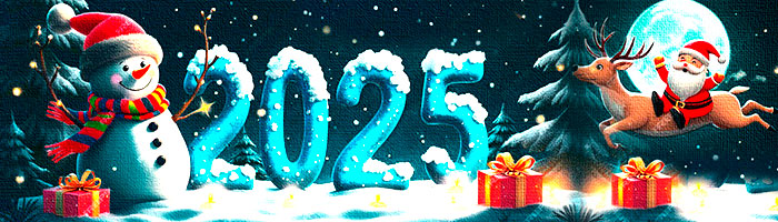 С Новым 2025 Годом!
