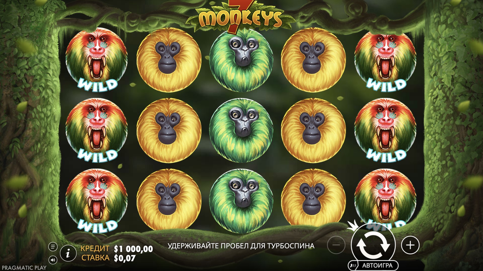 7_monkeys