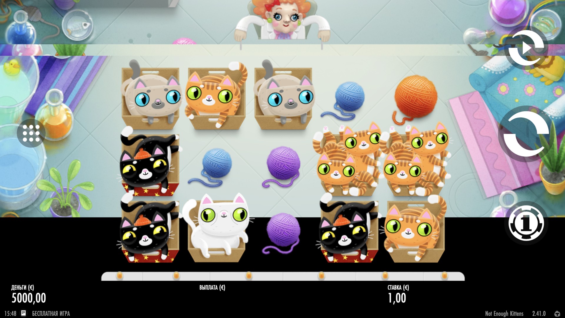 Not Enough Kittens